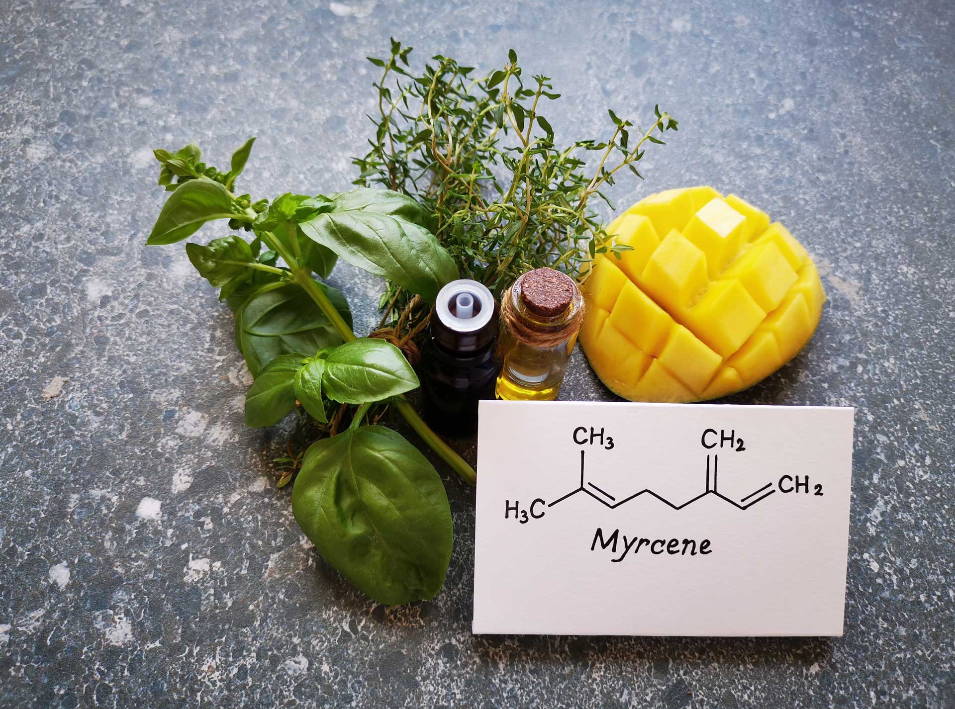 Myrcen - Kärtchen mit der chemischen Formel von Mycren umgeben von natürlichen, pflanzlichen Duftstoffen
