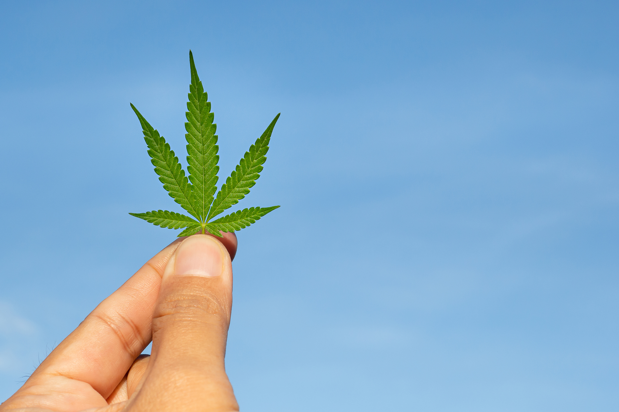 Mr Nice: Eine absolute Cannabis-Legende